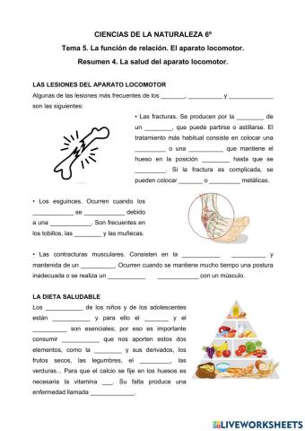 La salud del Aparato Locomotor