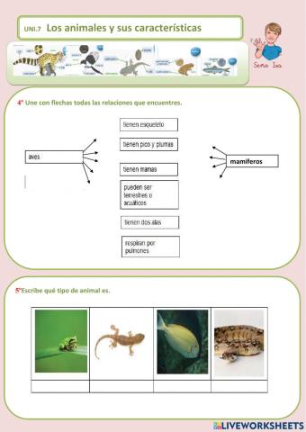 Características de los animales