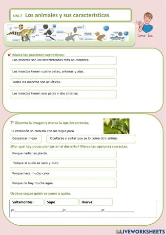 Los animales y sus características