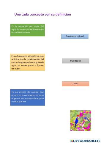 Lluvia e inundaciones