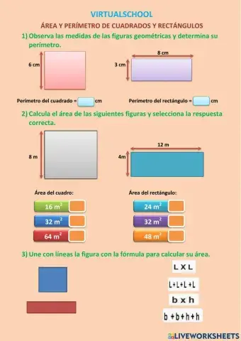 Area y peímetro del cuadrado y del rectángulo