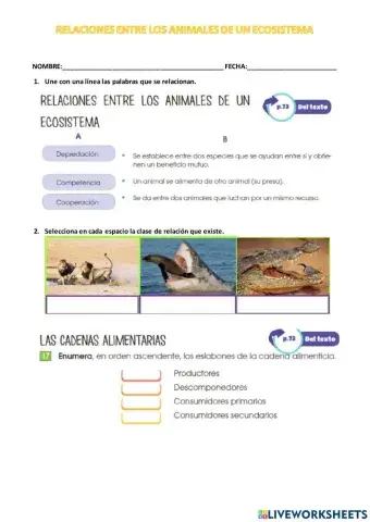 Relaciones entre los animales de un ecosistema