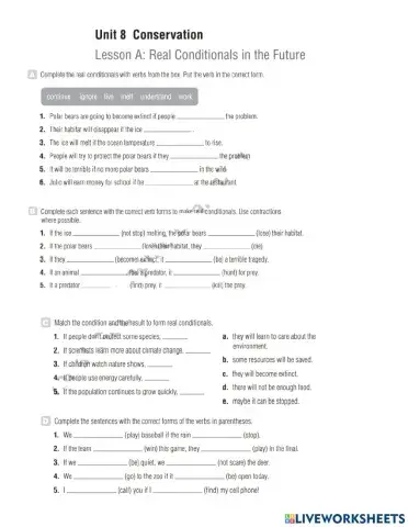 Grammar Review Unit 8