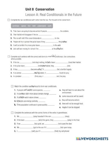 Grammar Review Unit 8