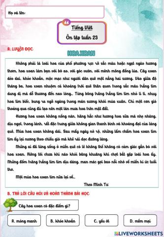 Phiếu cuối tuần 23