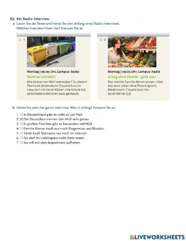 Radiointerview (Plastik)