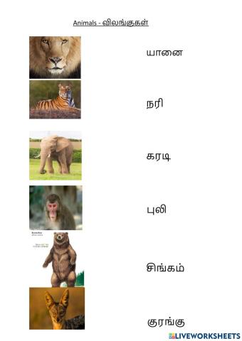 Animals in Tamil