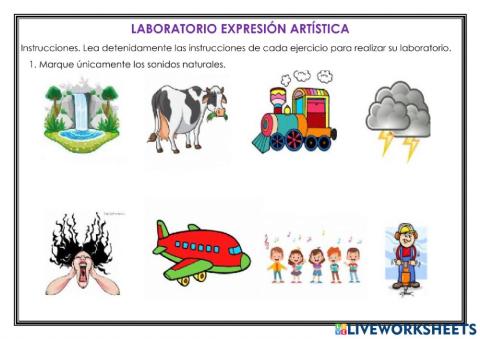 Expresión artística