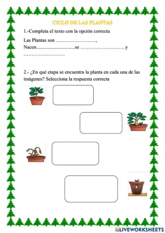 Ciclo de las plantas