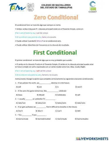Zero and First Conditional