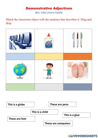 Demonstrative Adjective