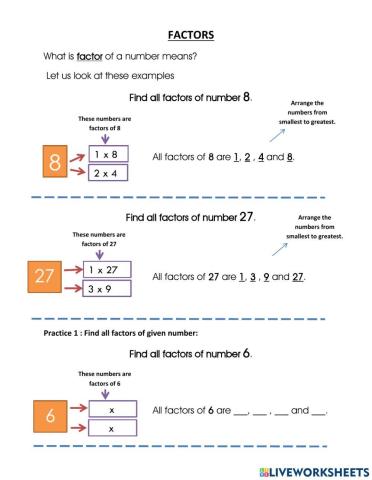 Factors of numbers year 4