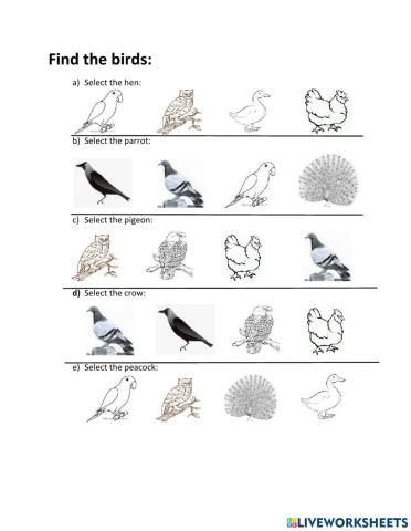 Select Birds