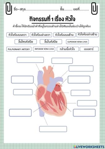 ใบกิจกรรมที่1เรื่องหัวใจ