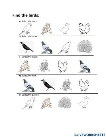 Select the birds
