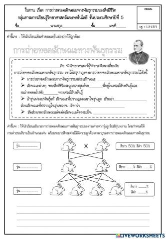 ใบงาน เรื่อง ความสัมพันธ์ของสิ่งมีชีวิตและสิ่งแวดล้อม