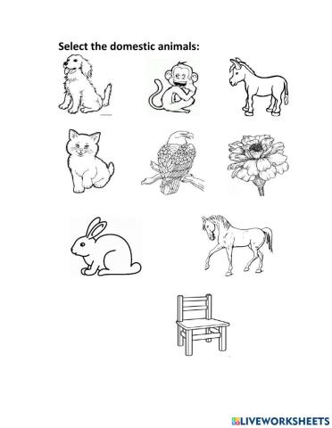 Select the domestic animals