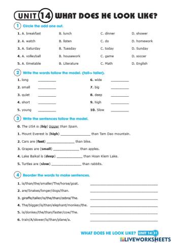 Unit 14 what does he look like?-2