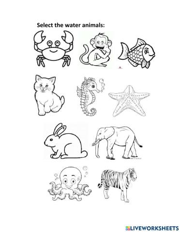 Select the water animals