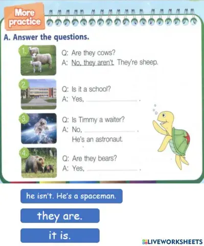 Answers the questions1