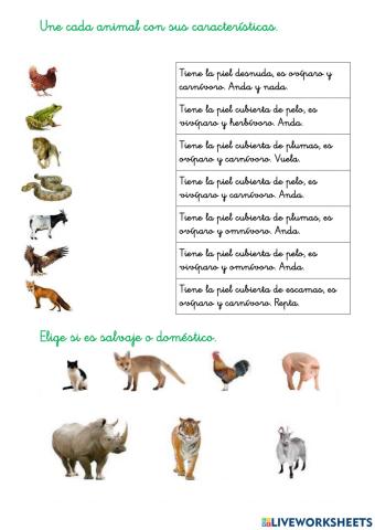 Características animales