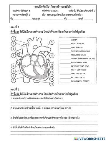 แบบฝึกหัดโครงสร้างของหัวใจ