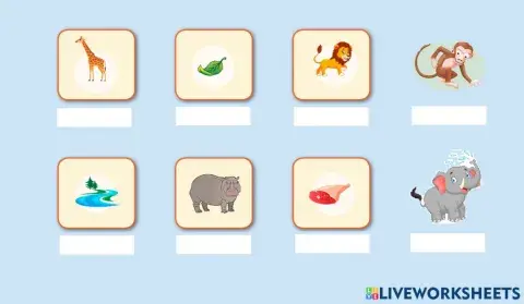 Jet 30: Animals Are Special