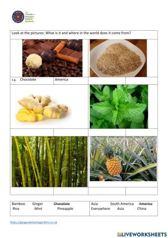 Where does it come from?