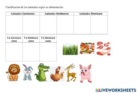 Clasificación de los animales según su alimentación