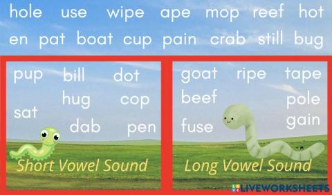Long or Short Vowel?  Find The Rhyme!