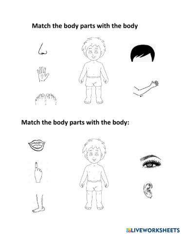 Mach the body parts