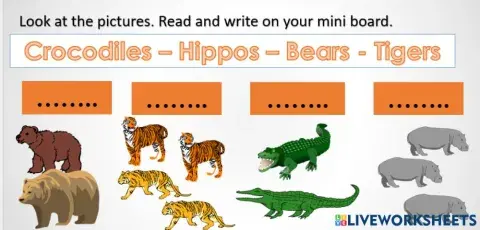 Grade 1 Unit 6 Revies act 2