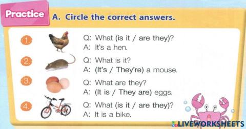 Circle the correct answers.