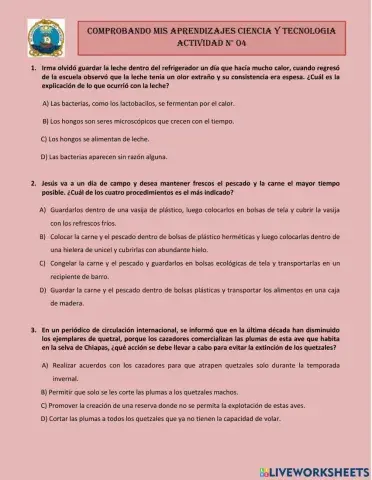 Ct-diagnostico-actividad-4