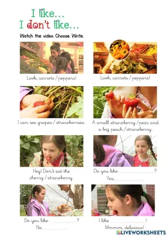 I like...-I don't like...-Do you like...?