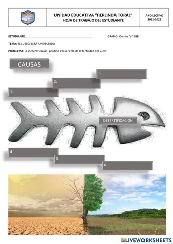 El suelo está amenazado