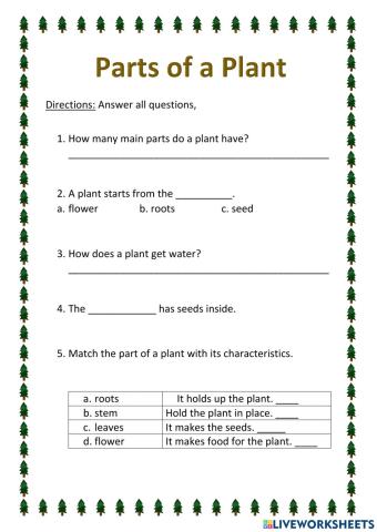 Parts of a plant