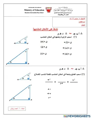 الأشكال المتشابهة