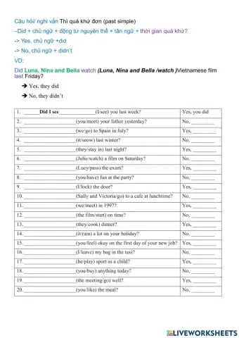 Past simple did question