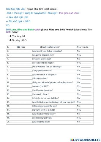 Past simple did question