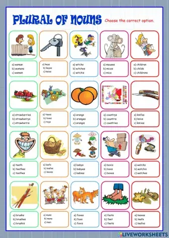 Plural nouns