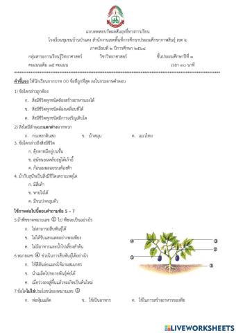 ข้อสอบปลายภาค วิทยาศาสตร์