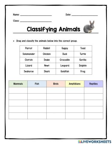 Classifying Animals