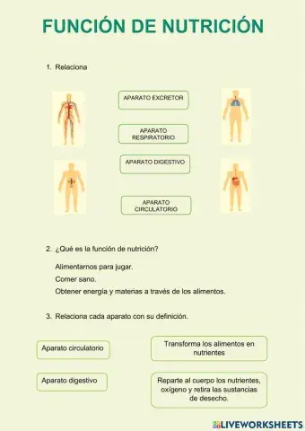 La función de nutrición