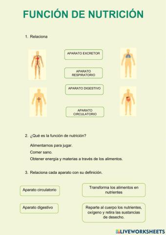 La función de nutrición