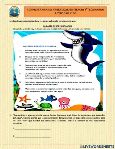 Ct-6-diagnostica-actividad-3