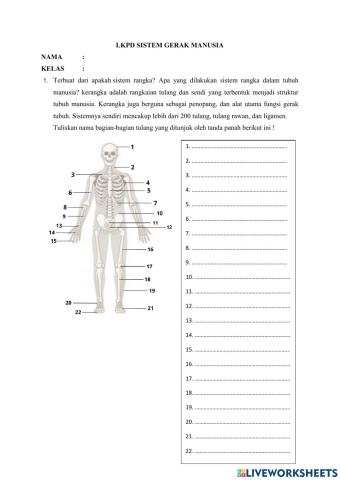 LKPD Sistem Gerak Manusia