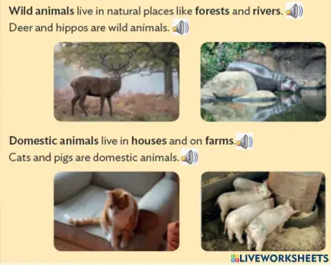 Wild-domestic animals