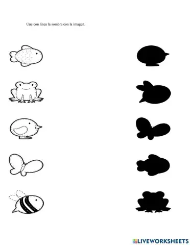 Ficha de  percepción visual