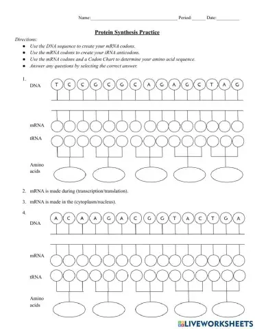Protein Synthesis Practice